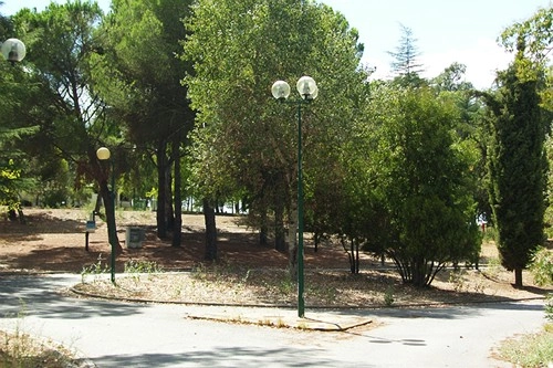 zobacz camping - zdjęcie 14