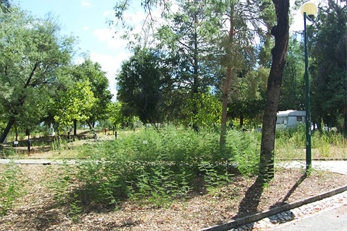 zobacz camping - zdjęcie 9