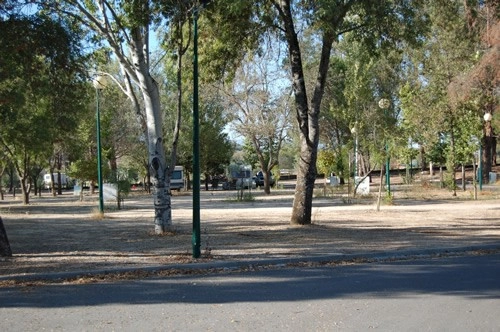 Parque de Campismo Municipal de Castelo Branco - zdjęcie 1