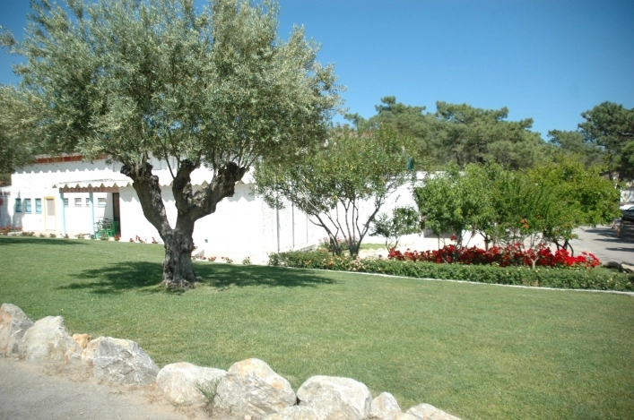 Parque de Campismo Municipal de Monte Gordo - zdjęcie 2