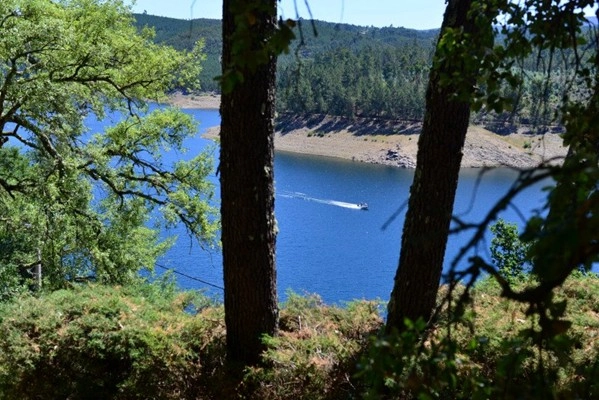 zobacz camping - zdjęcie 17