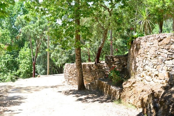 zobacz camping - zdjęcie 8