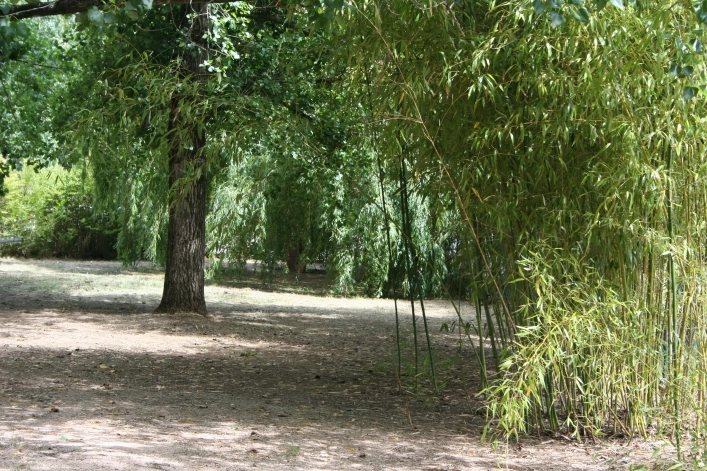 zobacz camping - zdjęcie 12