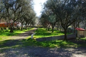 zobacz camping - zdjęcie 9