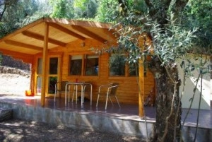 zobacz camping - zdjęcie 7