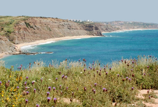 zobacz camping - zdjęcie 1