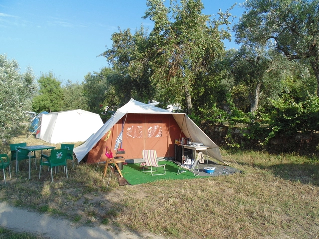 zobacz camping - zdjęcie 17