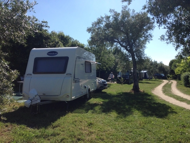 zobacz camping - zdjęcie 10