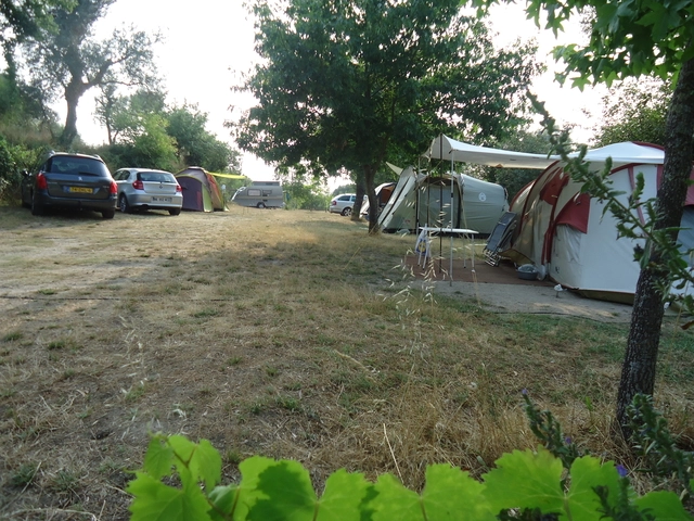 zobacz camping - zdjęcie 9