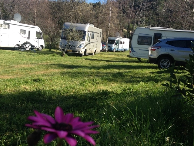 Parque de Campismo Quinta das Cegonhas - zdjęcie 4