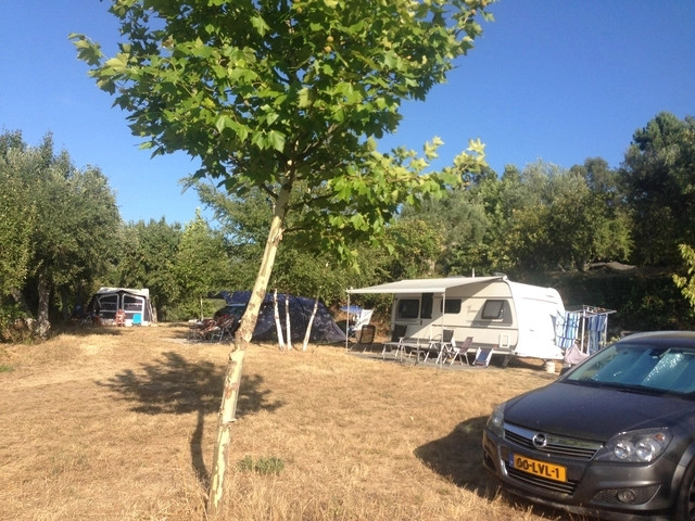 zobacz camping - zdjęcie 4
