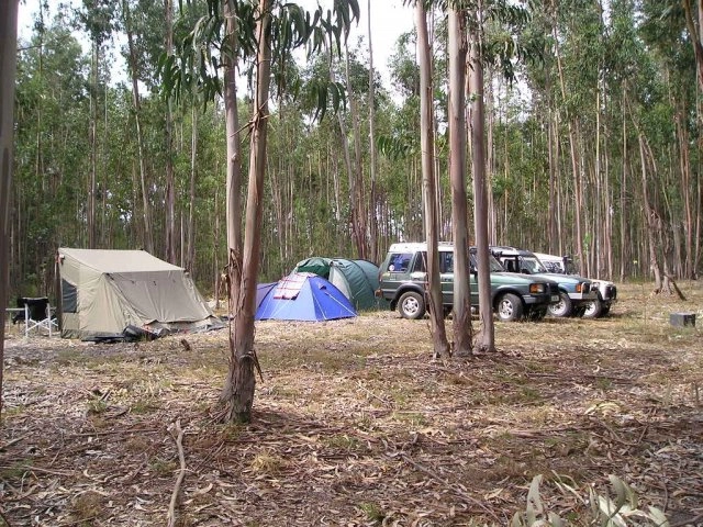 Parque de Campismo Quinta do Porto - zdjęcie 1