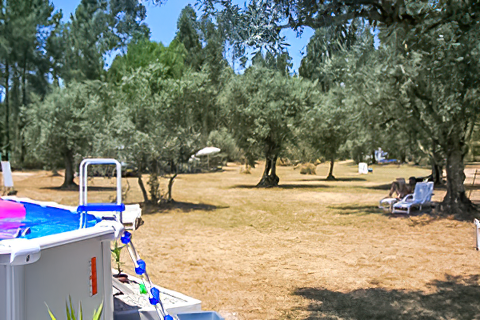 Parque de Campismo Quinta do Porto