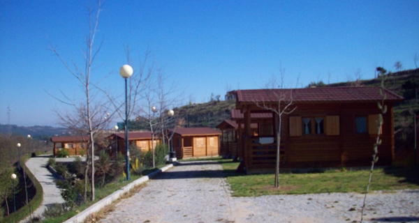 zobacz camping - zdjęcie 3