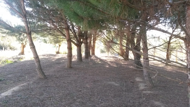 zobacz camping - zdjęcie 7