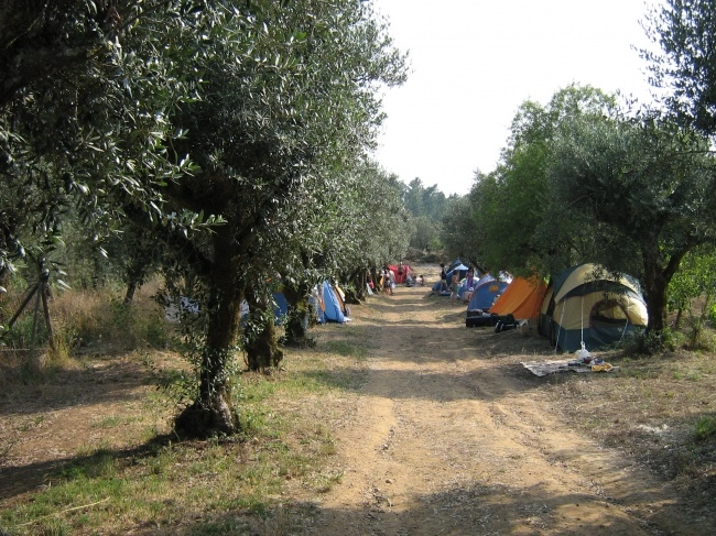 zobacz camping - zdjęcie 6