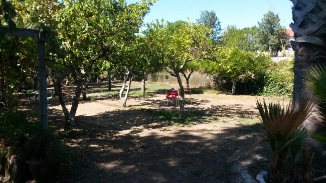 Parque de Campismo Redondo - zdjęcie 4