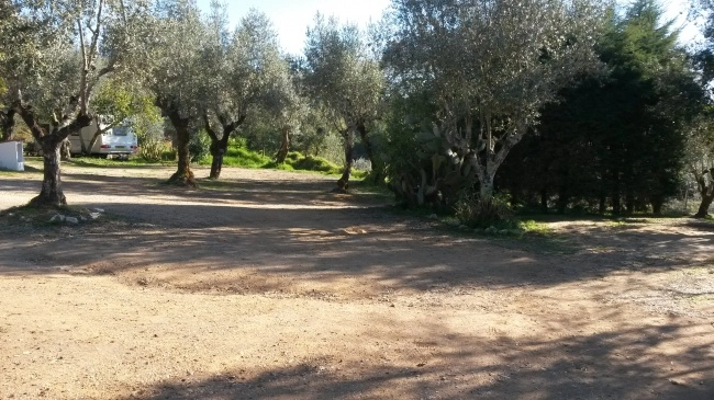 Parque de Campismo Redondo - zdjęcie 2