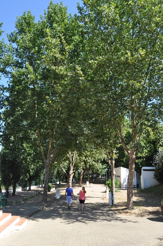 zobacz camping - zdjęcie 6