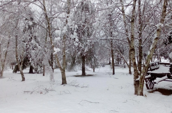zobacz camping - zdjęcie 15