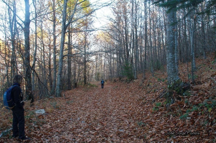 zobacz camping - zdjęcie 12