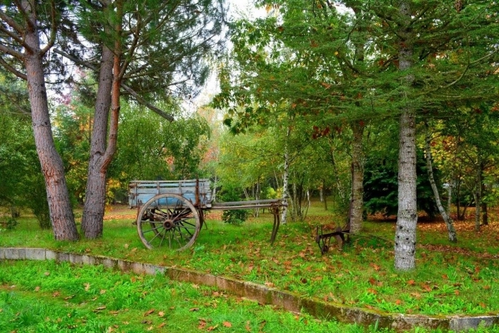 zobacz camping - zdjęcie 11