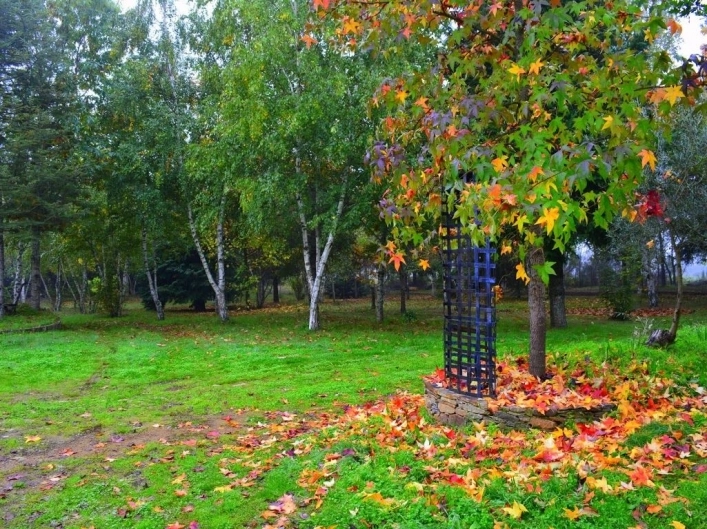 zobacz camping - zdjęcie 2