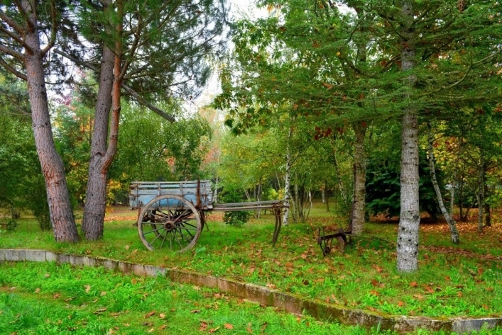 zobacz camping - zdjęcie 1