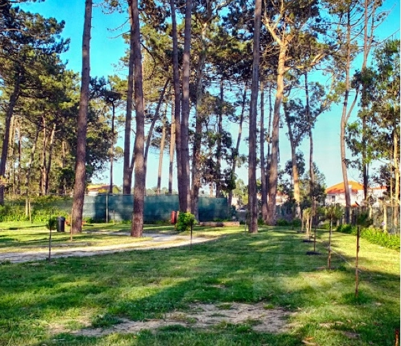 zobacz camping - zdjęcie 10