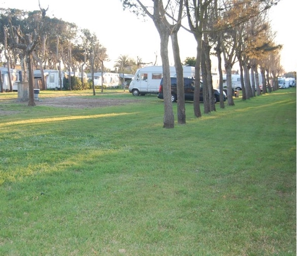 zobacz camping - zdjęcie 6