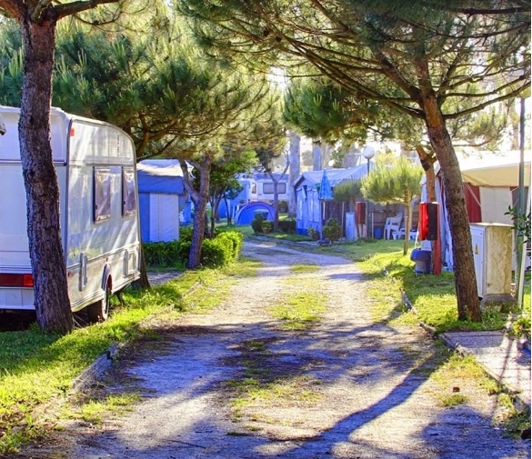 Parque de Campismo Sol de Vila Cha - zdjęcie 1