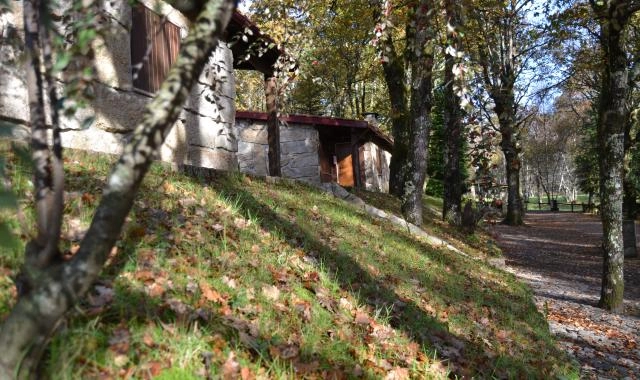 zobacz camping - zdjęcie 7