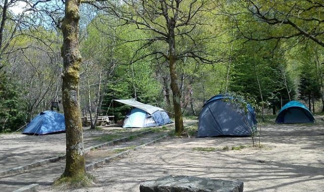 zobacz camping - zdjęcie 5