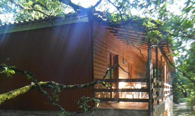 Parque de Cerdeira - zdjęcie 3