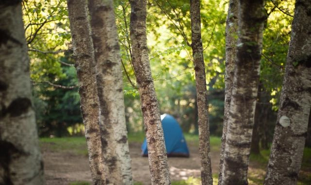 zobacz camping - zdjęcie 3