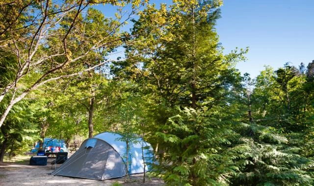 zobacz camping - zdjęcie 1