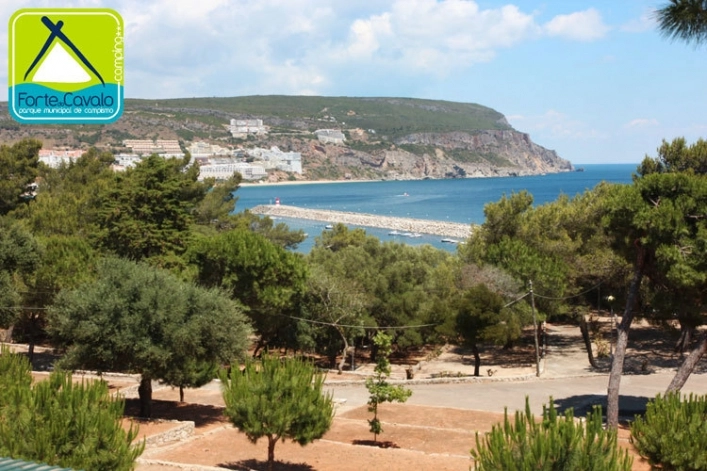 zobacz camping - zdjęcie 12