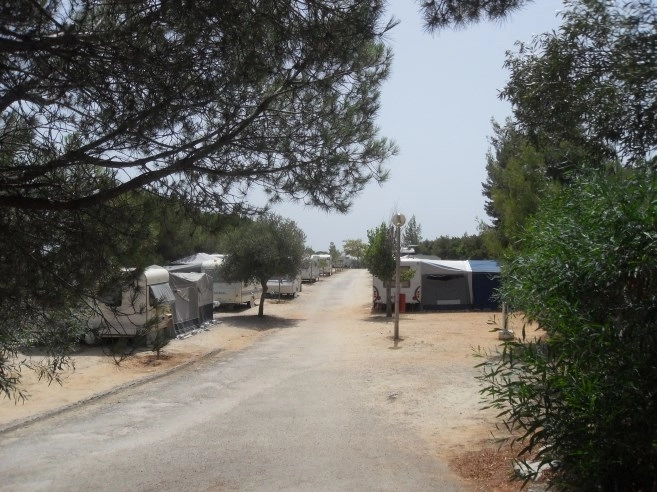 zobacz camping - zdjęcie 11