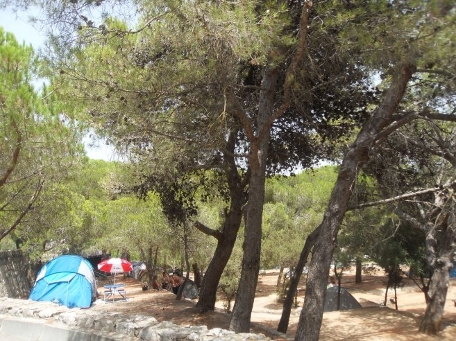 zobacz camping - zdjęcie 10