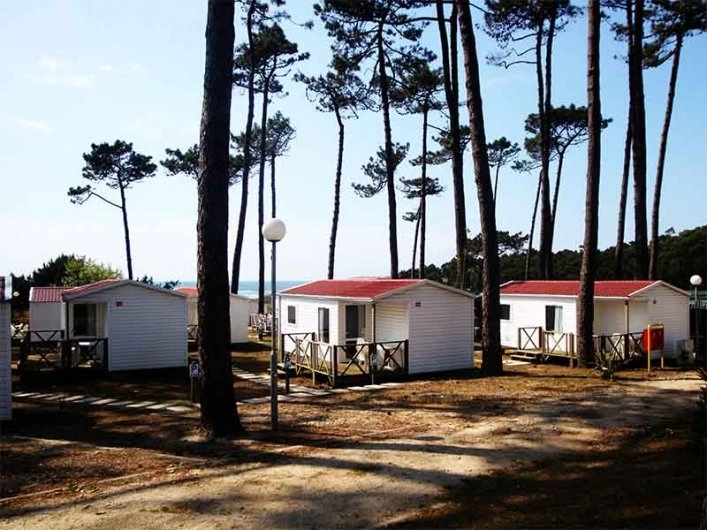 zobacz camping - zdjęcie 6