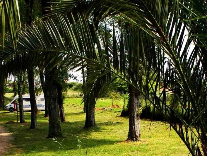 Parque Orbitur Angeiras / Matosinhos - zdjęcie 4