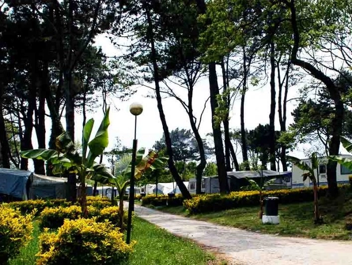 Parque Orbitur Angeiras / Matosinhos - zdjęcie 3