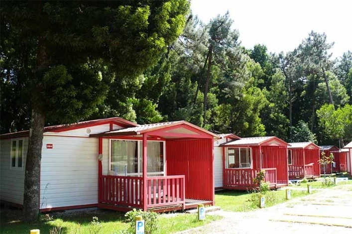 zobacz camping - zdjęcie 7