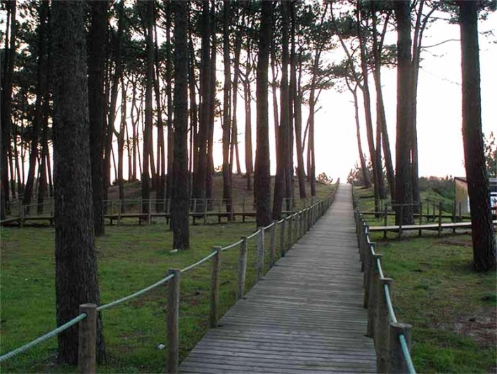 zobacz camping - zdjęcie 6