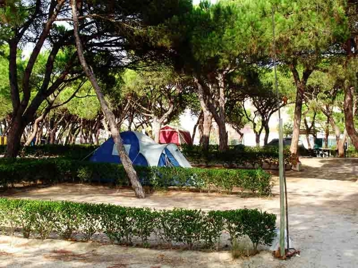 zobacz camping - zdjęcie 4