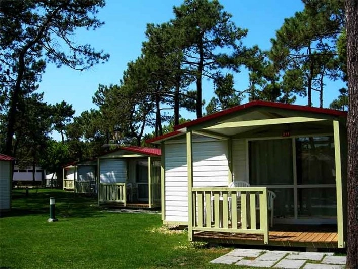 zobacz camping - zdjęcie 11
