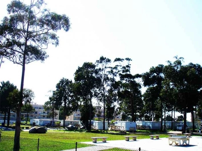 zobacz camping - zdjęcie 8