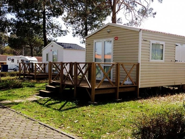 zobacz camping - zdjęcie 3