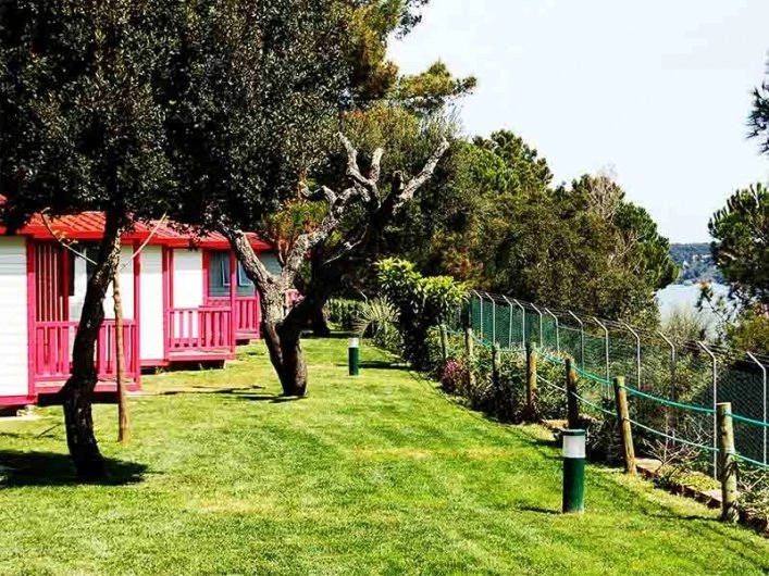 zobacz camping - zdjęcie 4