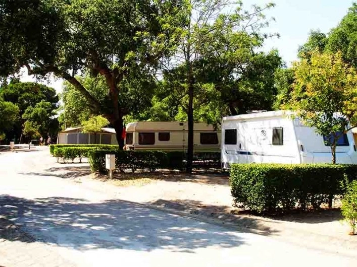 zobacz camping - zdjęcie 2